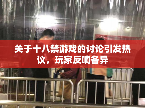 关于十八禁游戏的讨论引发热议，玩家反响各异
