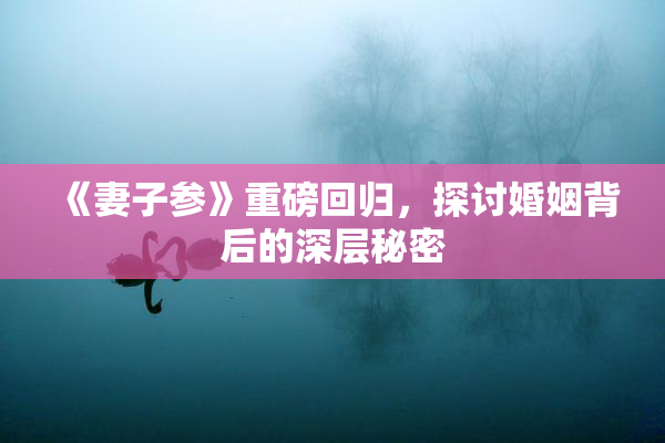 《妻子参》重磅回归，探讨婚姻背后的深层秘密