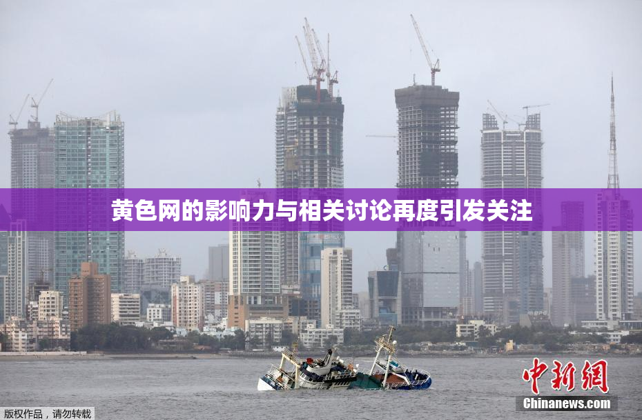 黄色网的影响力与相关讨论再度引发关注