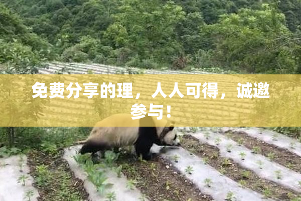 免费分享的理，人人可得，诚邀参与！