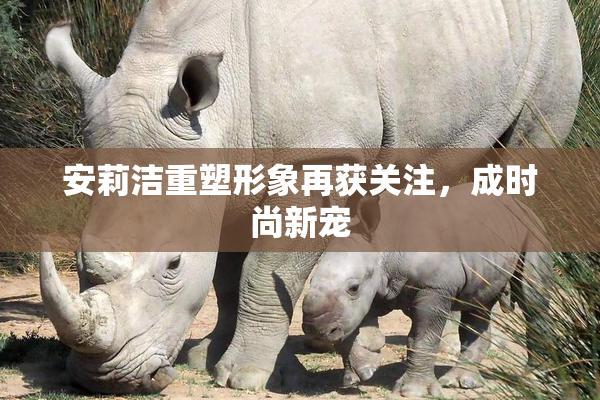 安莉洁重塑形象再获关注，成时尚新宠