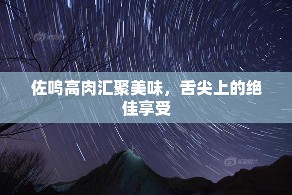 佐鸣高肉汇聚美味，舌尖上的绝佳享受