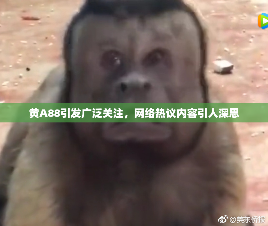 黄A88引发广泛关注，网络热议内容引人深思