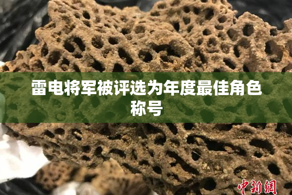 雷电将军被评选为年度最佳角色称号