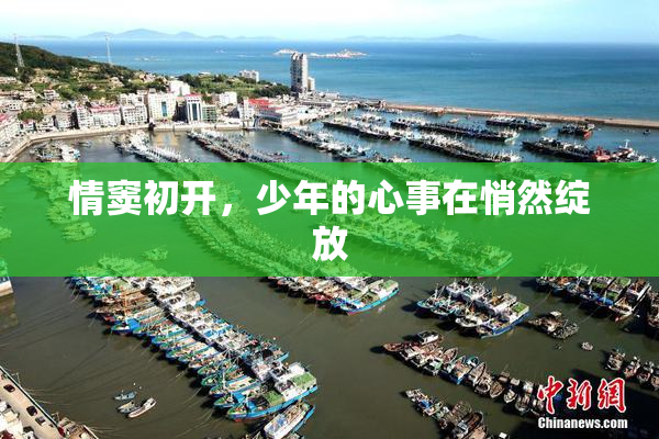 情窦初开，少年的心事在悄然绽放