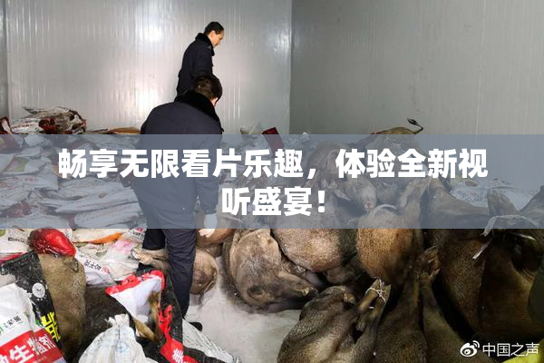 畅享无限看片乐趣，体验全新视听盛宴！