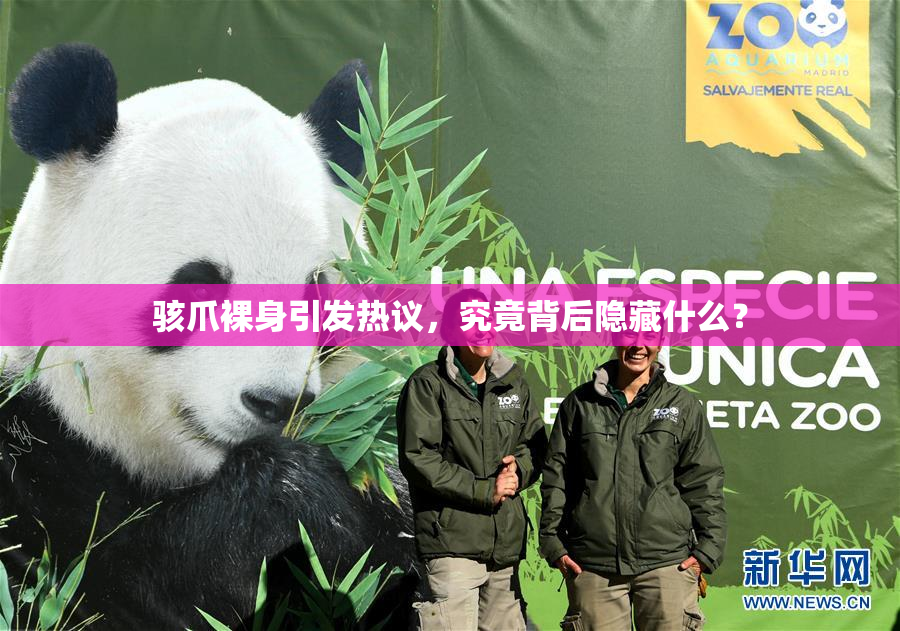 骇爪裸身引发热议，究竟背后隐藏什么？