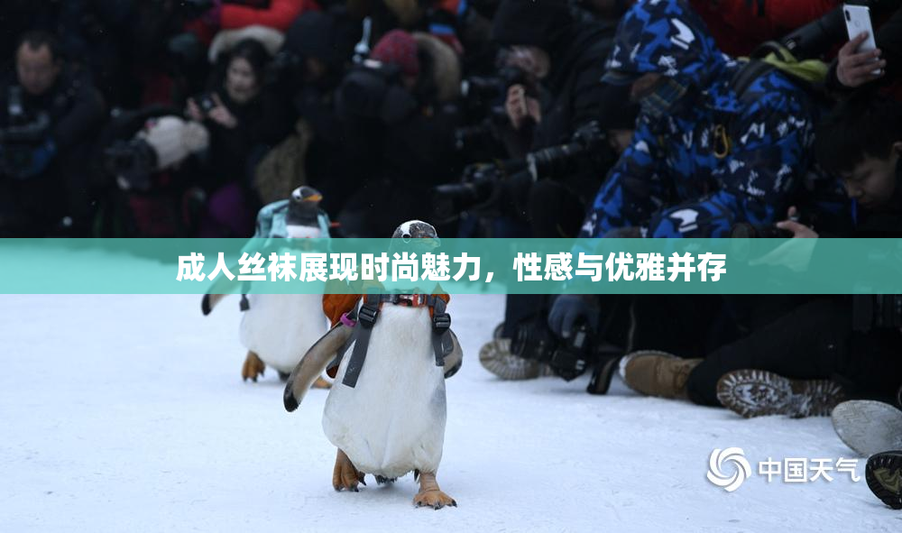 成人丝袜展现时尚魅力，性感与优雅并存