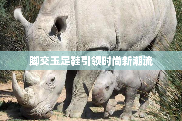 脚交玉足鞋引领时尚新潮流