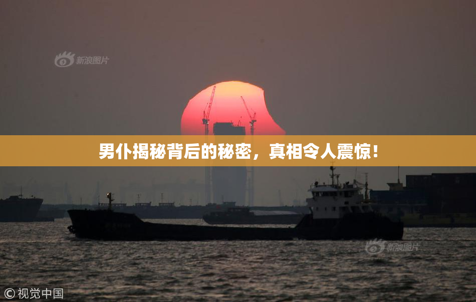男仆揭秘背后的秘密，真相令人震惊！