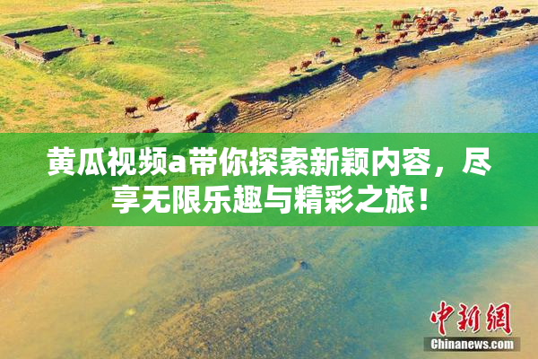 黄瓜视频a带你探索新颖内容，尽享无限乐趣与精彩之旅！