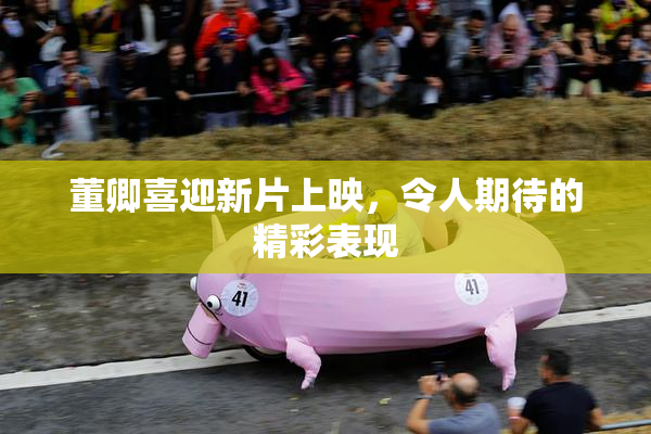 董卿喜迎新片上映，令人期待的精彩表现