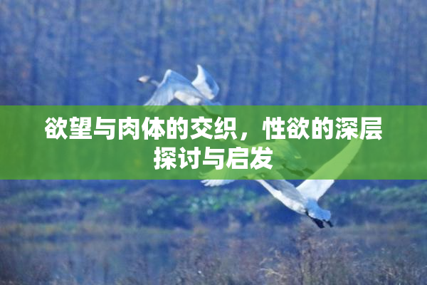 欲望与肉体的交织，性欲的深层探讨与启发