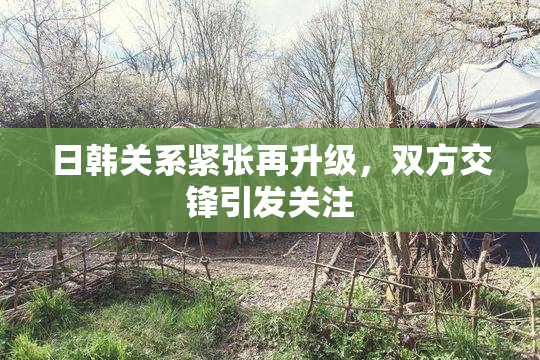 日韩关系紧张再升级，双方交锋引发关注