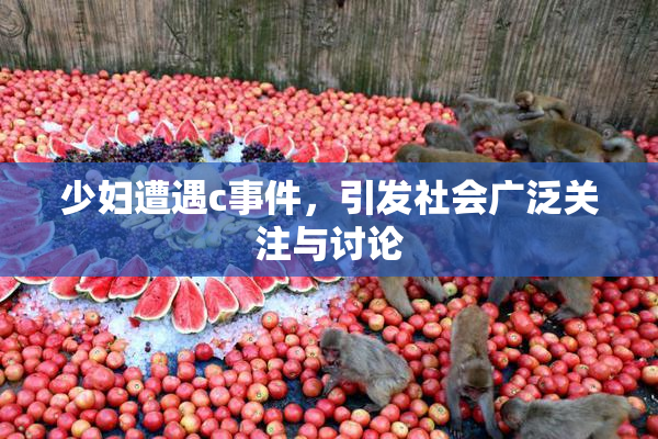 少妇遭遇c事件，引发社会广泛关注与讨论