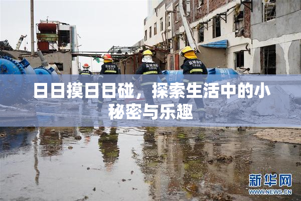 日日摸日日碰，探索生活中的小秘密与乐趣