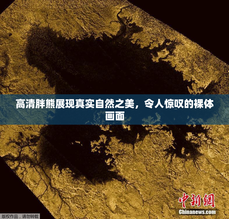 高清胖熊展现真实自然之美，令人惊叹的裸体画面