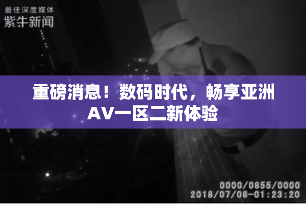 重磅消息！数码时代，畅享亚洲AV一区二新体验
