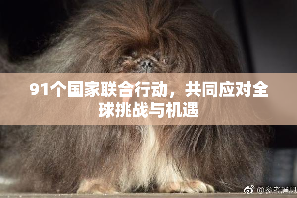 91个国家联合行动，共同应对全球挑战与机遇