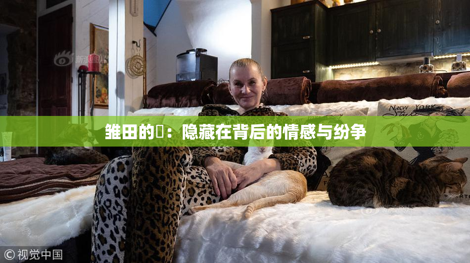 雏田的婬：隐藏在背后的情感与纷争
