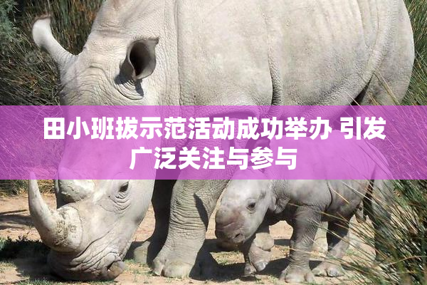 田小班拔示范活动成功举办 引发广泛关注与参与