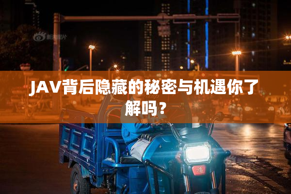 JAV背后隐藏的秘密与机遇你了解吗？