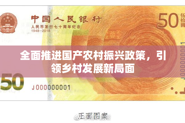 全面推进国产农村振兴政策，引领乡村发展新局面
