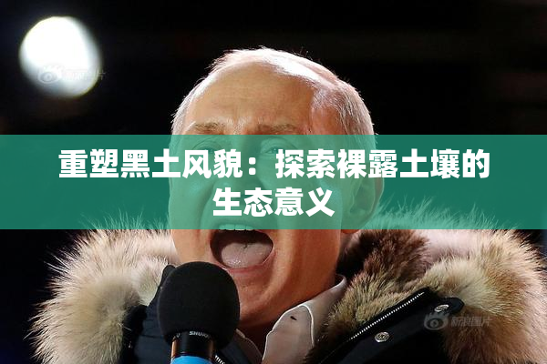 重塑黑土风貌：探索裸露土壤的生态意义