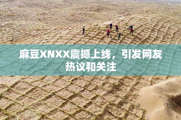 麻豆XNXX震撼上线，引发网友热议和关注