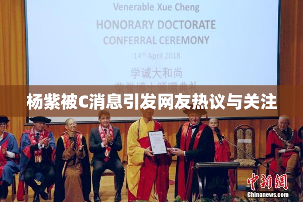 杨紫被C消息引发网友热议与关注