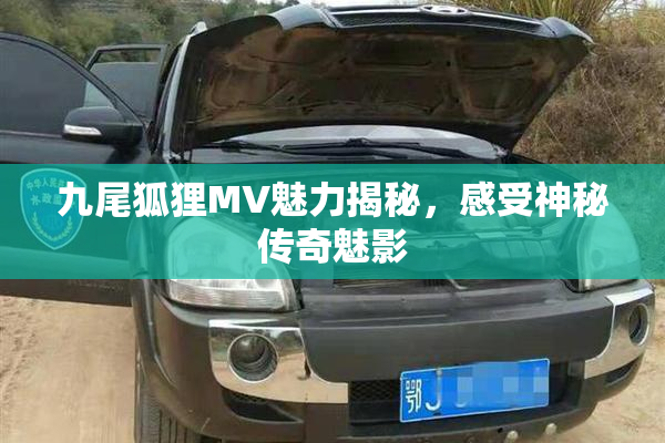 九尾狐狸MV魅力揭秘，感受神秘传奇魅影