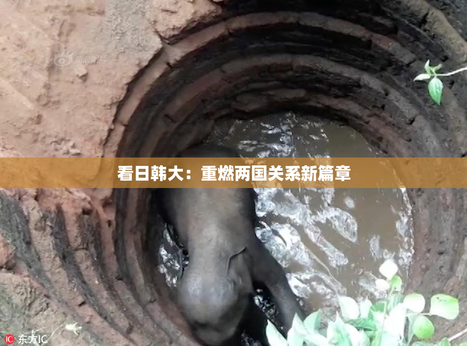 看日韩大：重燃两国关系新篇章