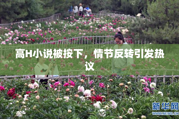 高H小说被按下，情节反转引发热议