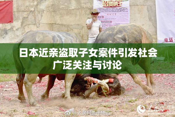 日本近亲盗取子女案件引发社会广泛关注与讨论