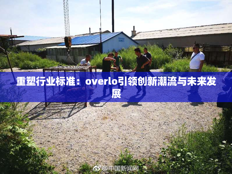 重塑行业标准：overlo引领创新潮流与未来发展