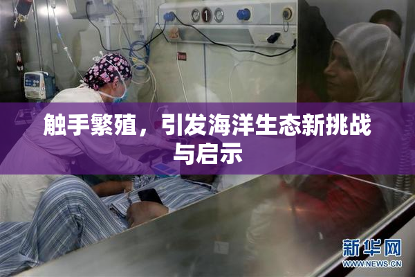 触手繁殖，引发海洋生态新挑战与启示