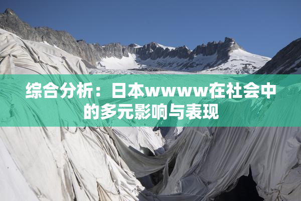 综合分析：日本wwww在社会中的多元影响与表现