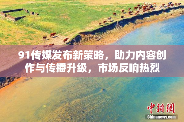 91传媒发布新策略，助力内容创作与传播升级，市场反响热烈