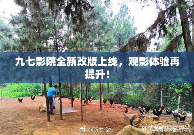 九七影院全新改版上线，观影体验再提升！