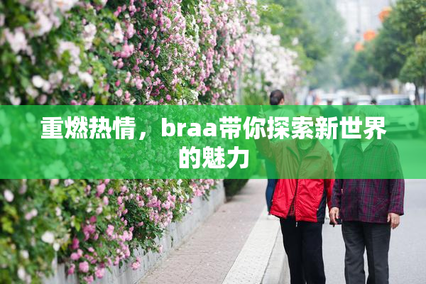 重燃热情，braa带你探索新世界的魅力
