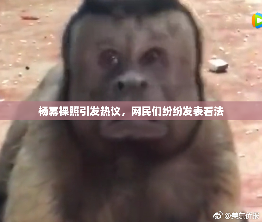 杨幂裸照引发热议，网民们纷纷发表看法