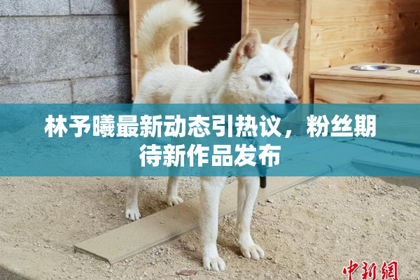 林予曦最新动态引热议，粉丝期待新作品发布