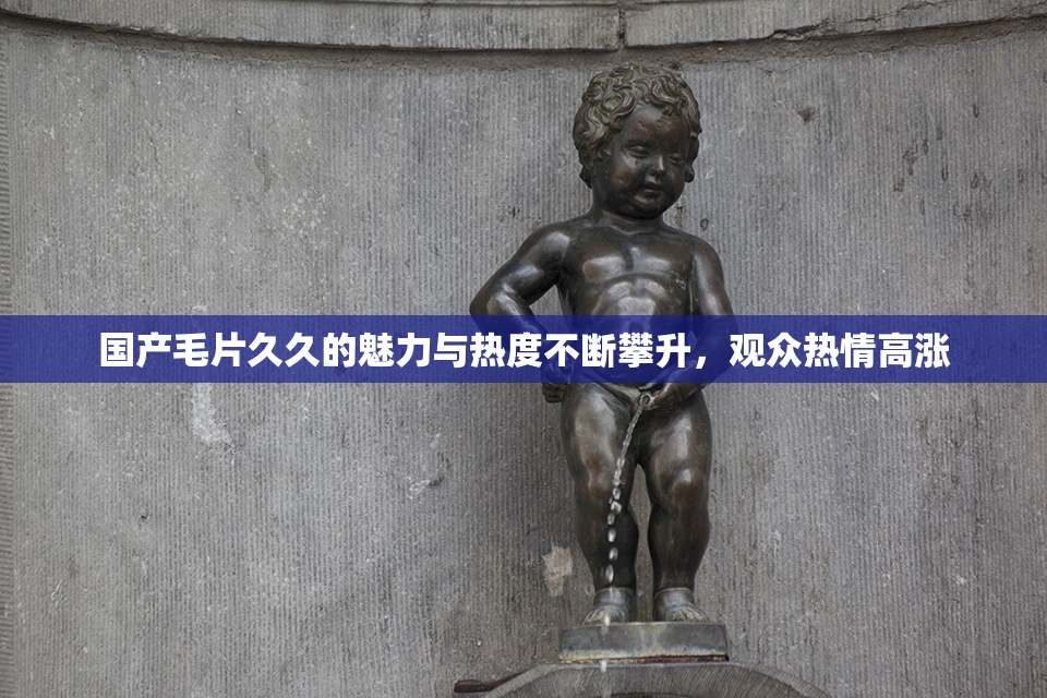 国产毛片久久的魅力与热度不断攀升，观众热情高涨