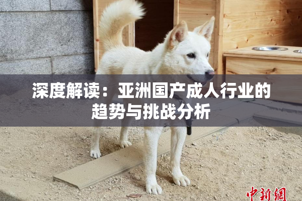 深度解读：亚洲国产成人行业的趋势与挑战分析