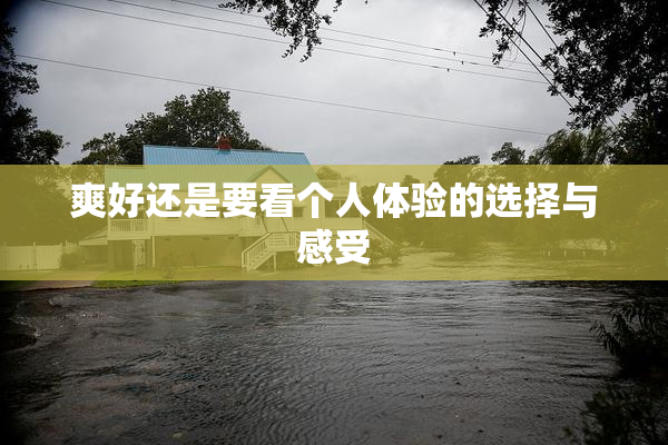 爽好还是要看个人体验的选择与感受