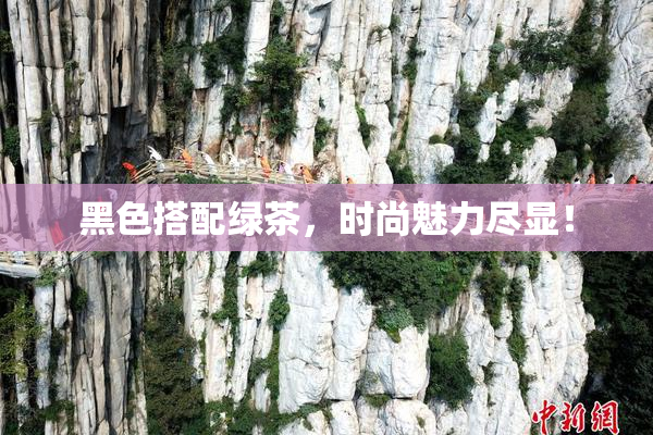 黑色搭配绿茶，时尚魅力尽显！