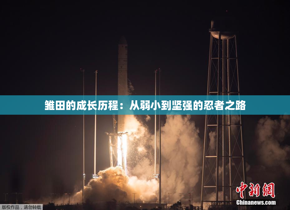 雏田的成长历程：从弱小到坚强的忍者之路