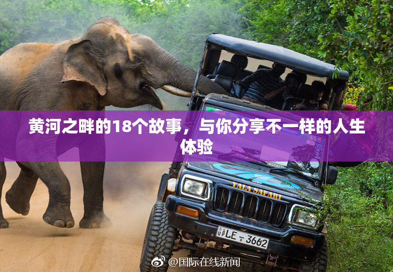 黄河之畔的18个故事，与你分享不一样的人生体验