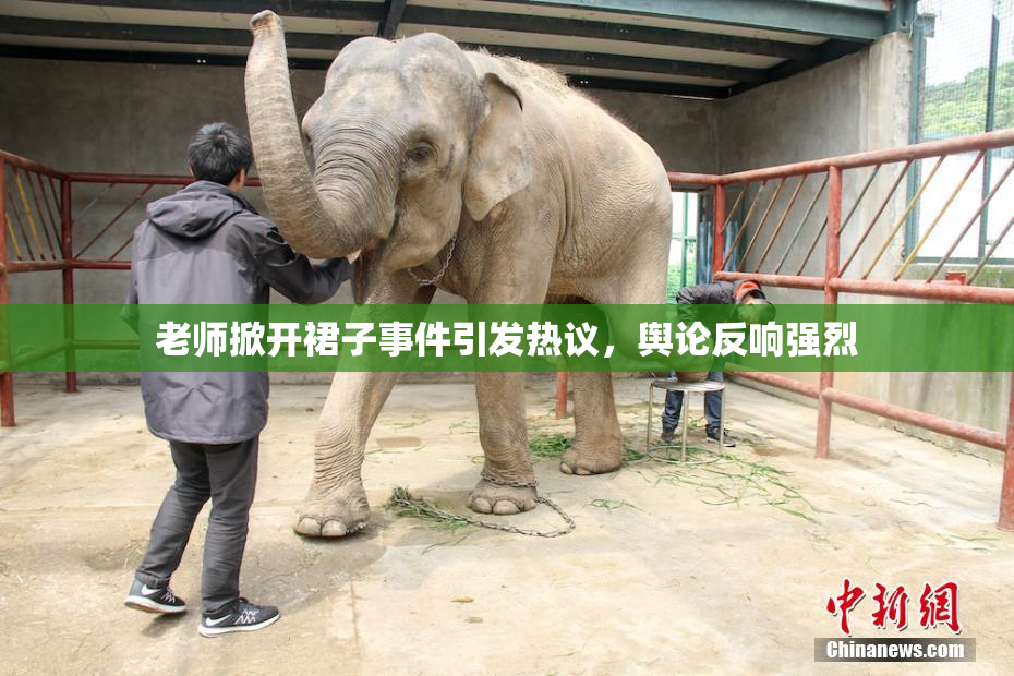 老师掀开裙子事件引发热议，舆论反响强烈