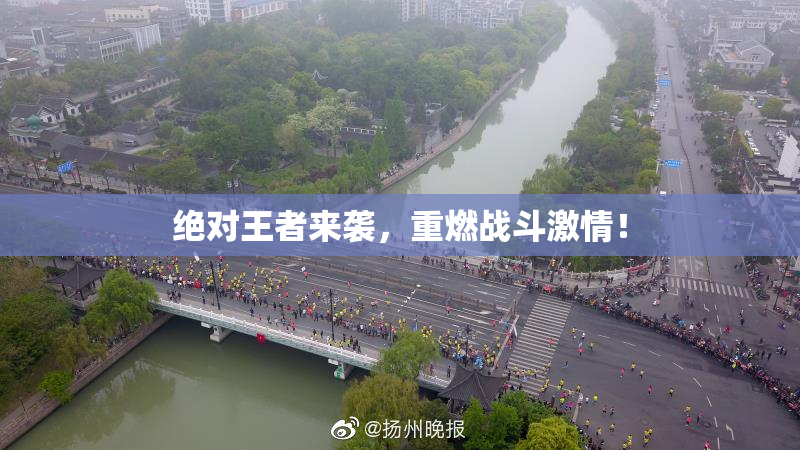 绝对王者来袭，重燃战斗激情！